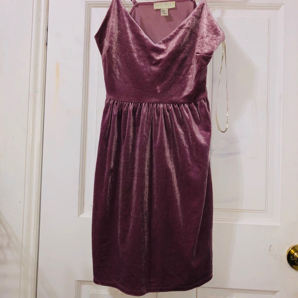 Dusty Rose Velvet Skater Dress
